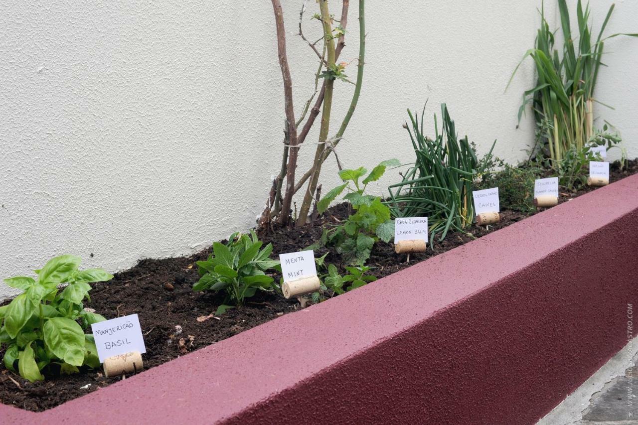 Apartamento Quinta Do Faial Funchal  Ngoại thất bức ảnh